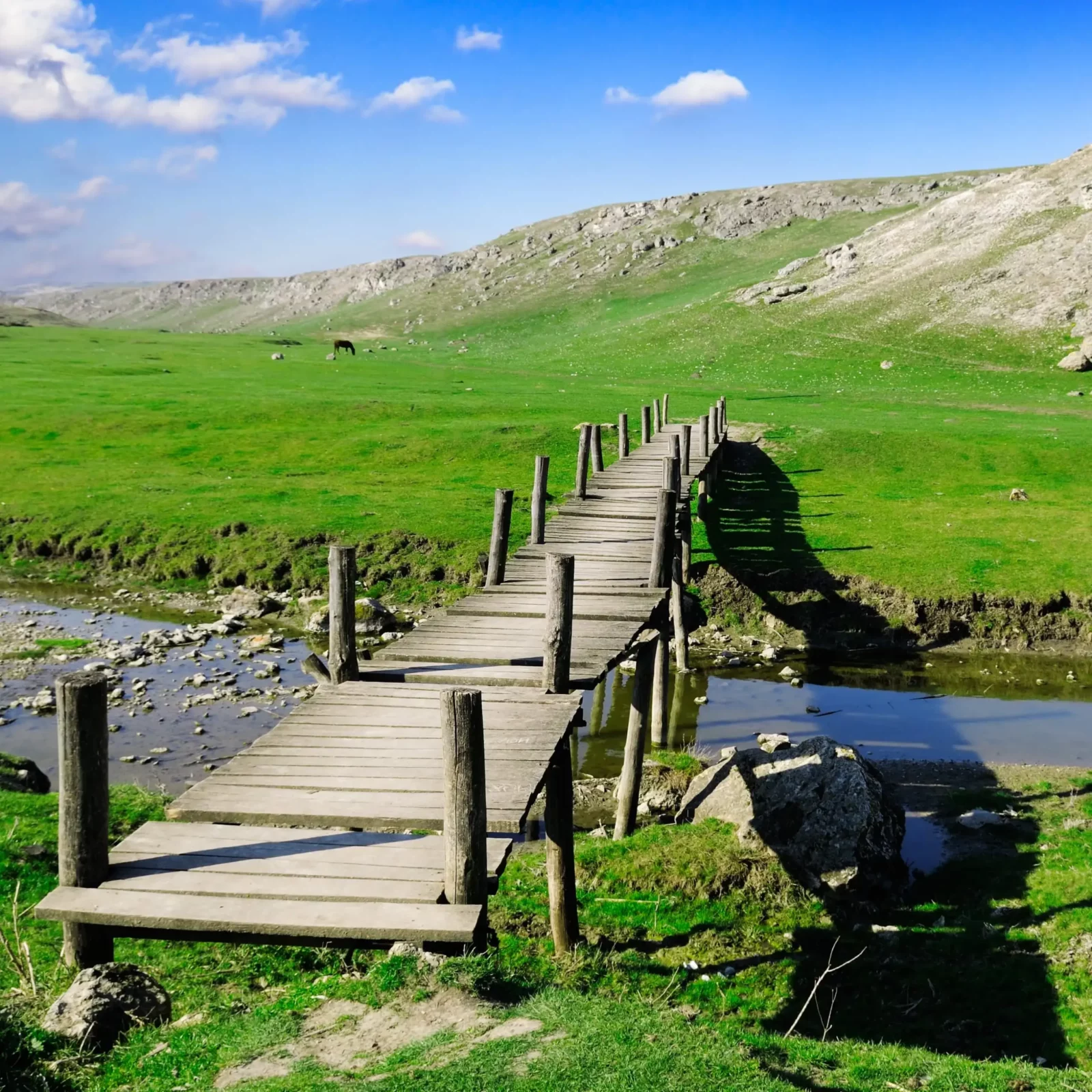 Travaux de création de passerelles en montagne